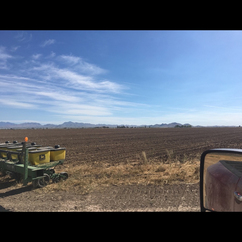 Meet your Posher, Wendy